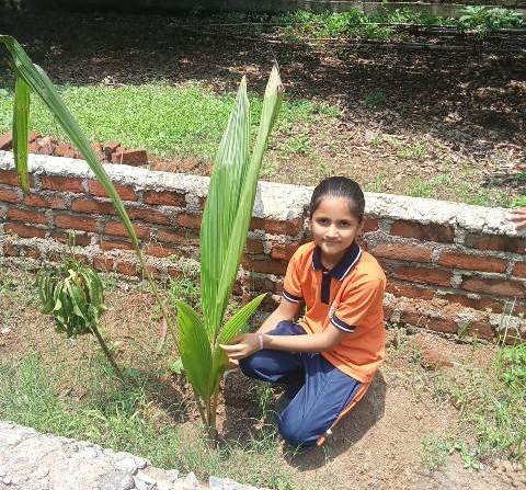 ECO CLUB ACTIVITY EK  PED KE NAAM 2.0